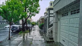 Rainy, Windy Walk by Myself in San Francisco, California - Pacific Heights to Russian Hill 4K