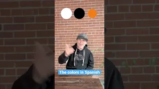 Colors in Spanish with BASHO & FRIENDS