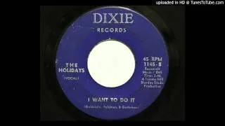 The Holidays - I Want To Do It (Dixie 1145) [1966 garage]