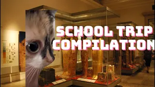 Cat memes: School trip COMPILATION