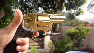 Dan Wesson 2.5" Golden CO2 BB Revolver .177