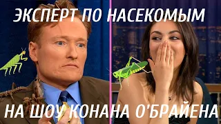 Эксперт По Насекомым Напугал Конана О'Брайена и Милу Кунис [Русская Озвучка]