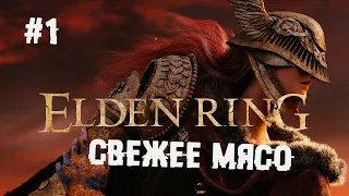 Ну, наконец-то дождались ► 1 Прохождение Elden Ring