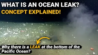 What is an Ocean leak | Why there is a Leak at the bottom of the Pacific Ocean | Geography, Geology