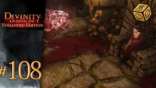 Cassadra, the cat lady - Let's Play Divinity: Original Sin - Enhanced Edition #108