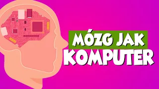 Jak działa człowiek JUNIOR #MÓZG (tłumaczenie PJM)