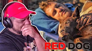😭*THE SADDEST REAL LIFE DOG STORY*😭 Red Dog (2011) *FIRST TIME WATCHING MOVIE REACTION*