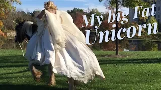 Gypsy Vanner Horse videos, Bride Falls off Horse,  Horse Fail
