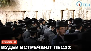 Иудеи встречают Песах