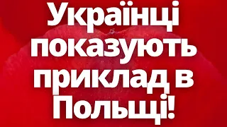 Українці в Польщі показують приклад всьому світу! Новини Польщі!