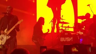 Bush - Everything Zen (Live)