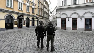 Wien verschärft Sicherheitsmaßnahmen nach Terroranschlag