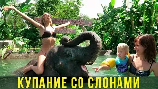 Купание со слонами на Пхукете - Вика в восторге, рекомендуем детям, Тайланд