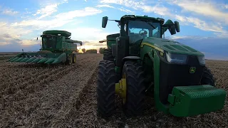 Corn Harvest with the new 8R 410