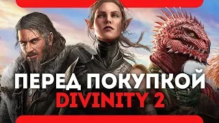 Что нужно знать перед покупкой Divinity Original Sin 2