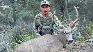 Nice 3x3 Blacktail Buck Down - California A Zone