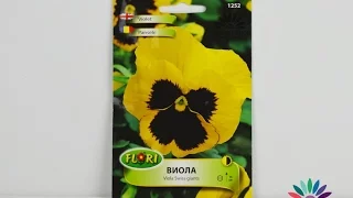 Цветя за Валентин - стилен и весел подарък семена на жълта Виола с черно