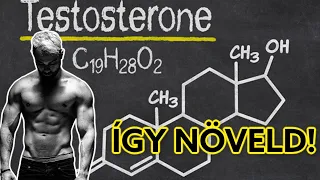 TESZTOSZTERON SZINT - így növeld! / + Tesztoszteron-hiány jelei & következményei