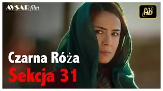 Czarna Róża - Sekcja 31