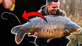 The Rig that caught The Lord 👑 60lb+ UK Fully on a solid bag | Carp Fishing