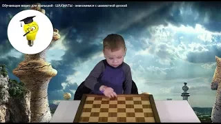 развивающие занятия для детей - ШАХМАТЫ - знакомимся с шахматной доской (первая серия)