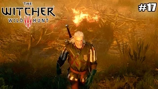 Ведьмак 3: Дикая Охота ( The Witcher 3: Wild Hunt) прохождение (17 серия) (1080р)