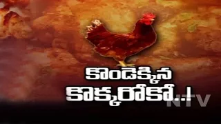 Chicken price rises in Hyderabad