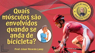 Musculatura envolvida no andar de bicicleta