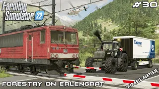 Selling FIREWOOD and storing PRODUCTS | Forestry on ERLENGRAT | Farming Simulator 22 | Episode 30