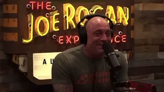 Theo Von & Shane Gillis Best Moments on Joe Rogan Experience