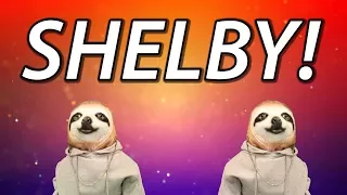 HAPPY BIRTHDAY SHELBY! - SLOTH HAPPY BIRTHDAY RAP