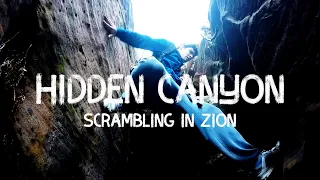 Zion Adventures: Hidden Canyon - Scrambling in Zion