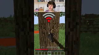 Tohle jsou MINECRAFT STROMY na SLABÉ WI-FI...