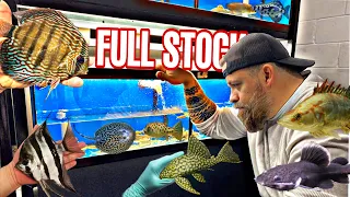 FULL FISH STOCK Feeding Every Fish in our Facility *SOME AMAZING SPECIES* Part 2.