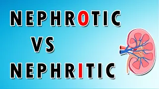 Nephrotic vs. Nephritic Syndromes