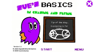Sue's Basics In Chasing And Flying