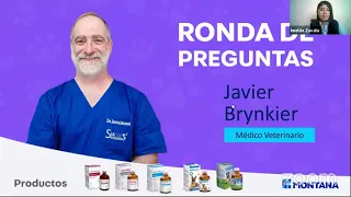 Los anestésicos y analgésicos en medicina veterinaria