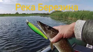 Березина. Спиннинг. Изучаем новый участок реки. Рыбалка в Беларуси.