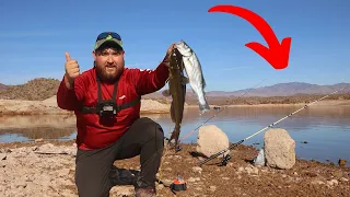 Striper and Catfish Catch & Cook! (Lake Pleasant AZ)