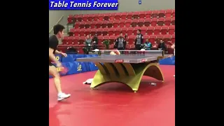 Fan Zhendong training with Ma Long