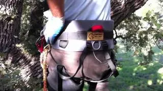 New Tribe Nikosi Harness Review