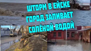 Шторм в Ейске, подтопленные улицы, сломанные деревья, перекрытые улицы, 27 ноября 2023