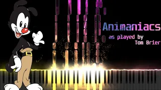 Animaniacs Theme (as played by Tom Brier)