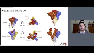 Targeting Spike protein for effective vaccine and therapeutics against SARS-CoV-2