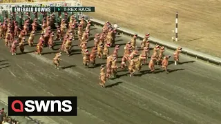 Hundreds of competitors wearing T-Rex costumes take part in hilarious racecourse 🦖 | SWNS