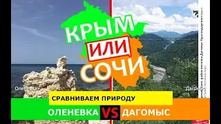 Оленевка VS Дагомыс | Сравниваем природу 🏝 Крым или Краснодарский край - что лучше в 2019?