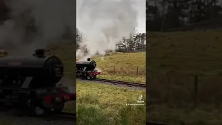 15-inch gauge locomotive at full tilt! 🚂⚡