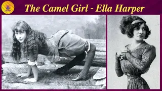 THE CAMEL GIRL - ELLA HARPER | RARE AND AMAZING HISTORICAL PHOTOGRAPHS YOU HAVEN'T SEEN BEFORE!