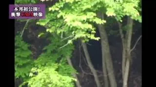 Bigfoot: Believers Only - Japanese Bigfoot footage (Clearest ever?)