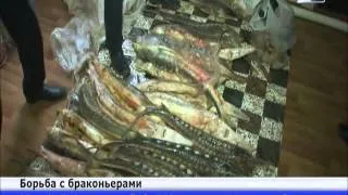 Около 8 тонн рыбы изъяли сотрудники водной полиции Атырау